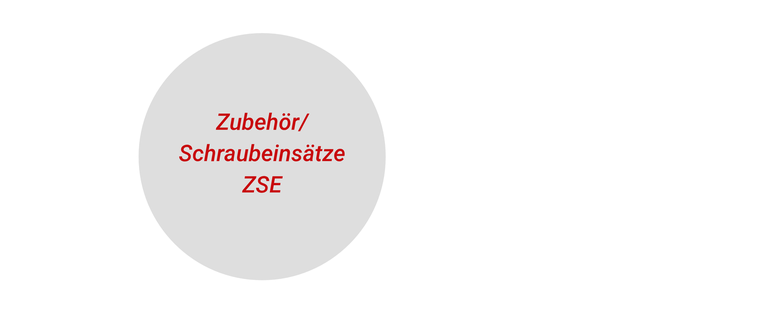 Zur Kategorie Zahn Zubehör, Schraubeinsätze ZSE wechseln