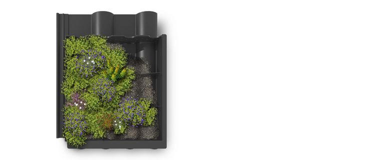 Zur Kategorie LIVINGROOF wechseln