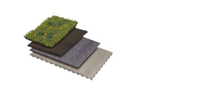 Zur Kategorie Gründach-System wechseln