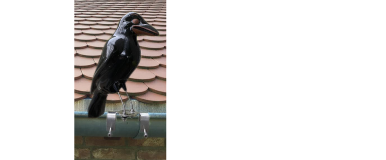 Zur Kategorie Dachschmuck wechseln