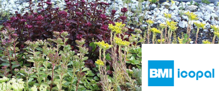 Zur Kategorie Icopal Gründach-System wechseln