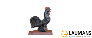 Zur Kategorie Dachhahn wechseln