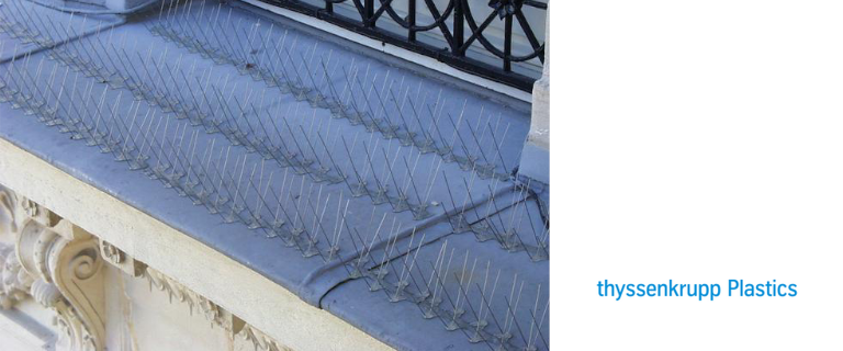 Zur Kategorie Taubenabwehr Ecopic wechseln