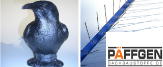 Zur Kategorie Taubenabwehr wechseln