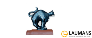 Zur Kategorie Dachbuckelkatze wechseln