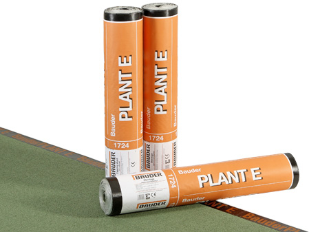PLANT E