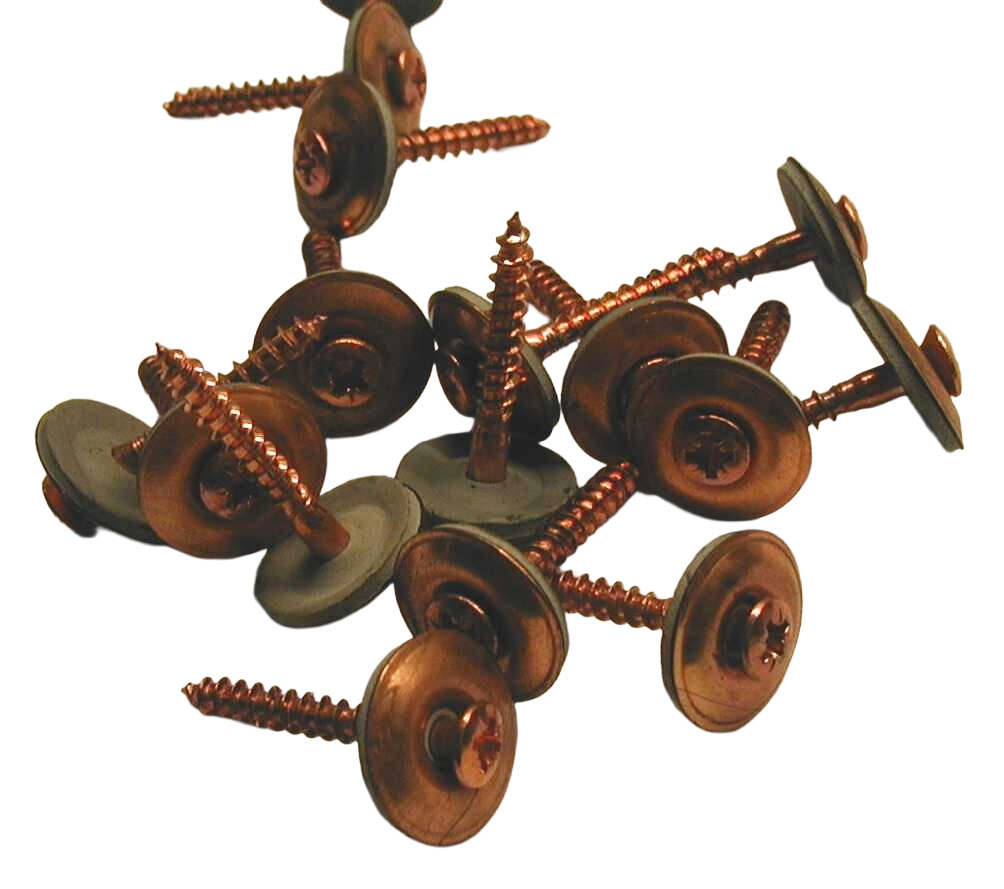 Spenglerschraube V2A Torx