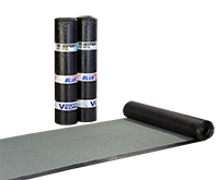 Vedasprint PYE KTP S4