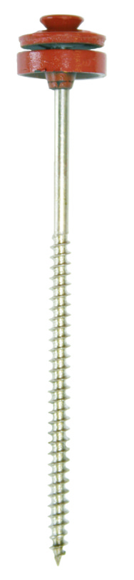 Glockenschraube V2A Torx