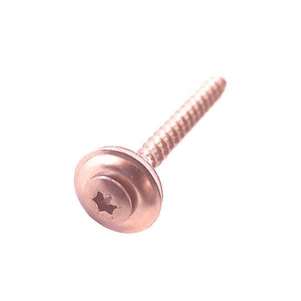Spenglerschraube V2A Torx