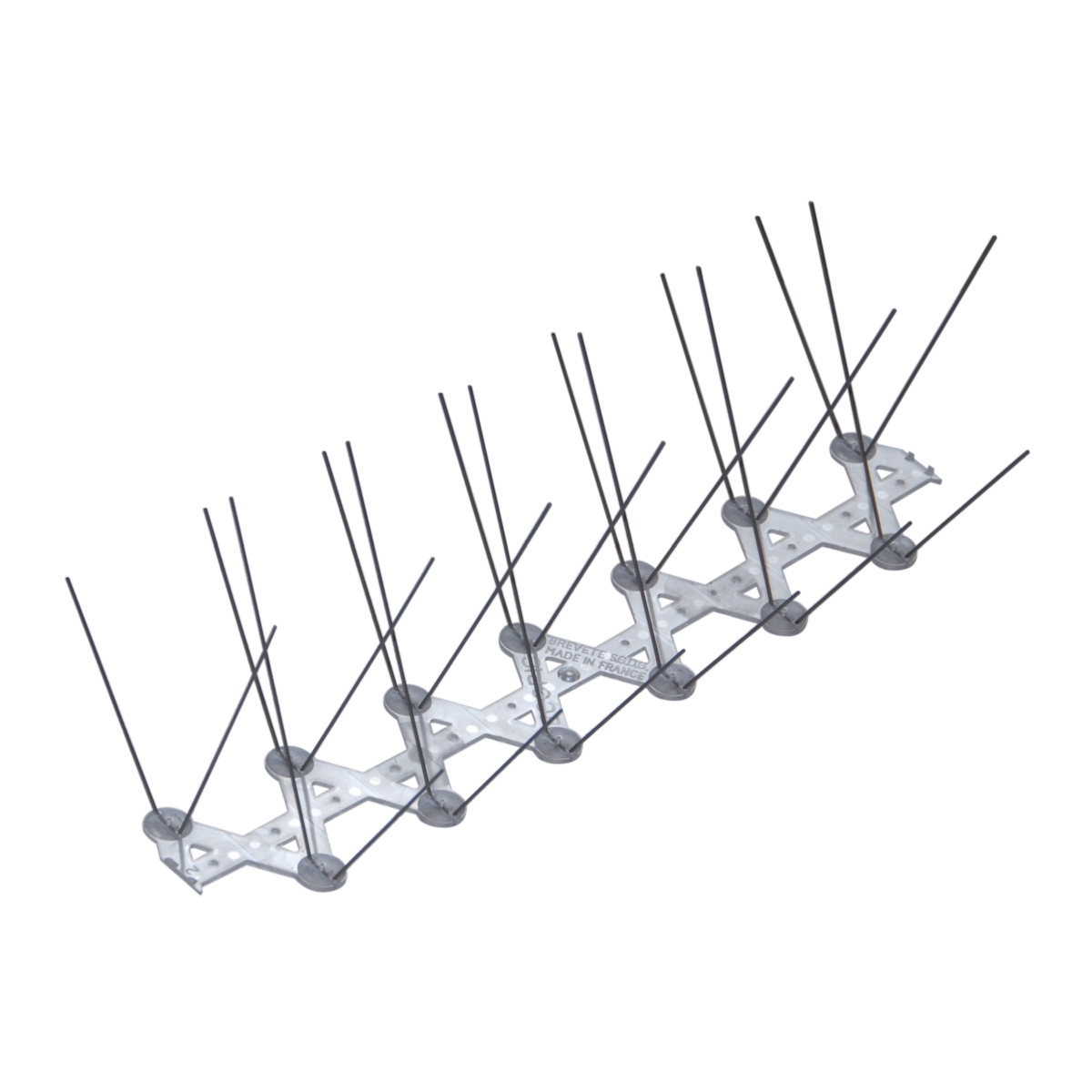 Tauben- und Möwenschutz
