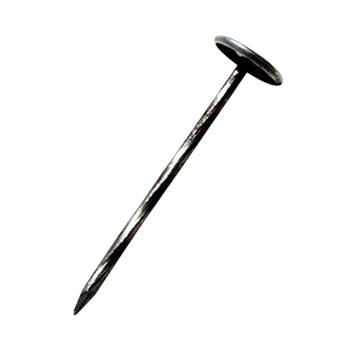 Breitkopf-Drallnagel