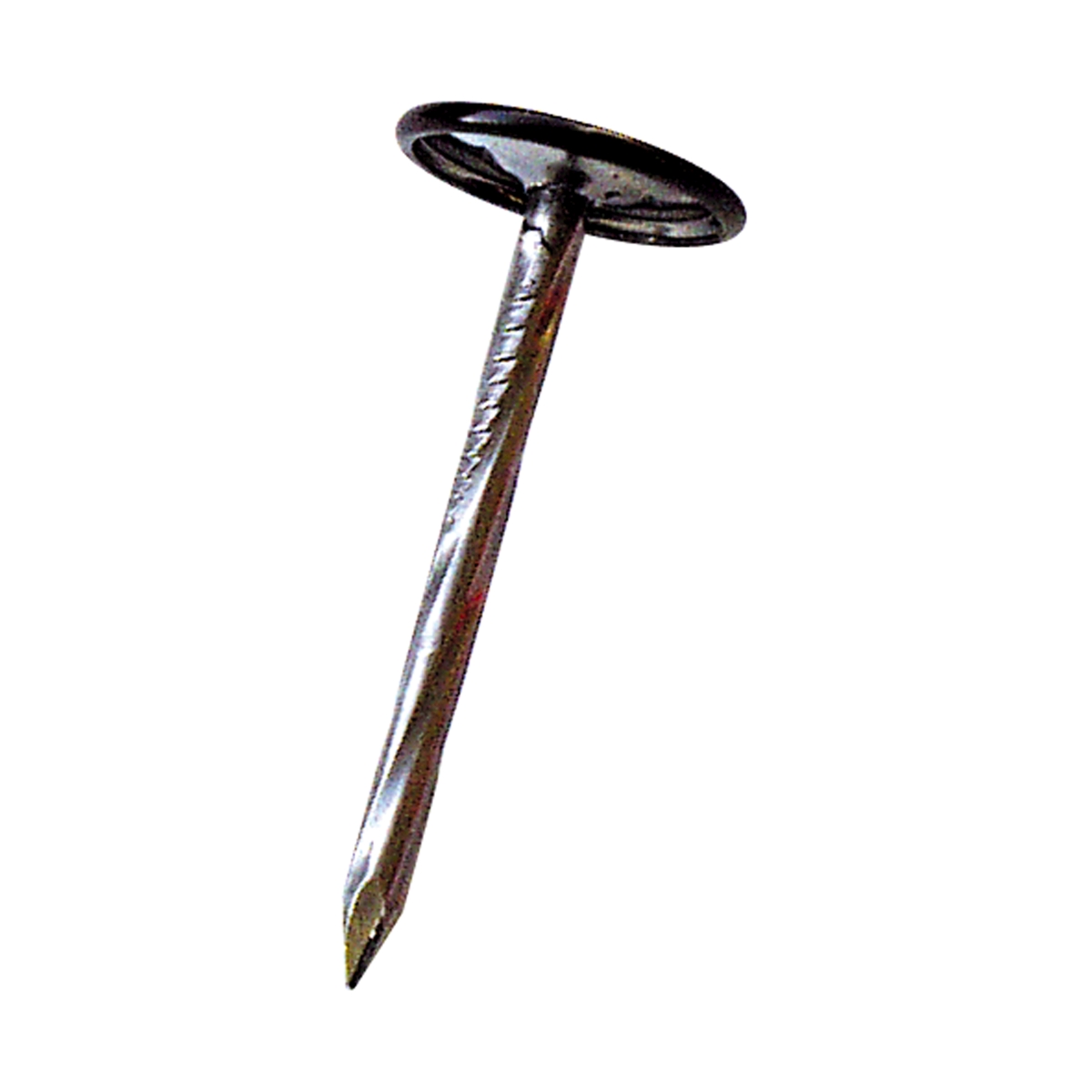 Breitkopf-Drallnagel