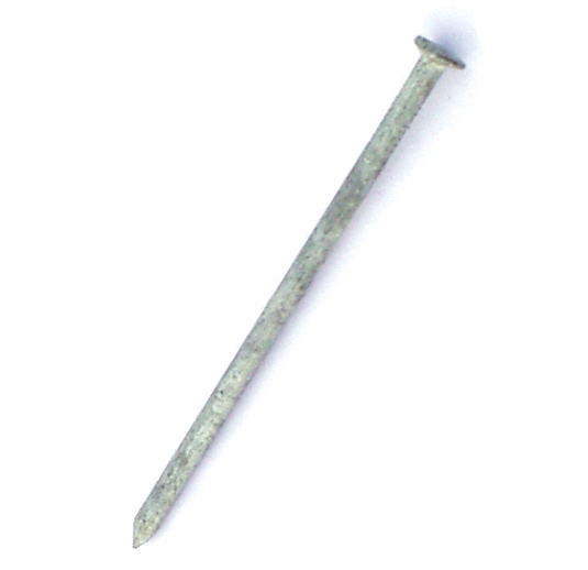 Flachkopfnagel