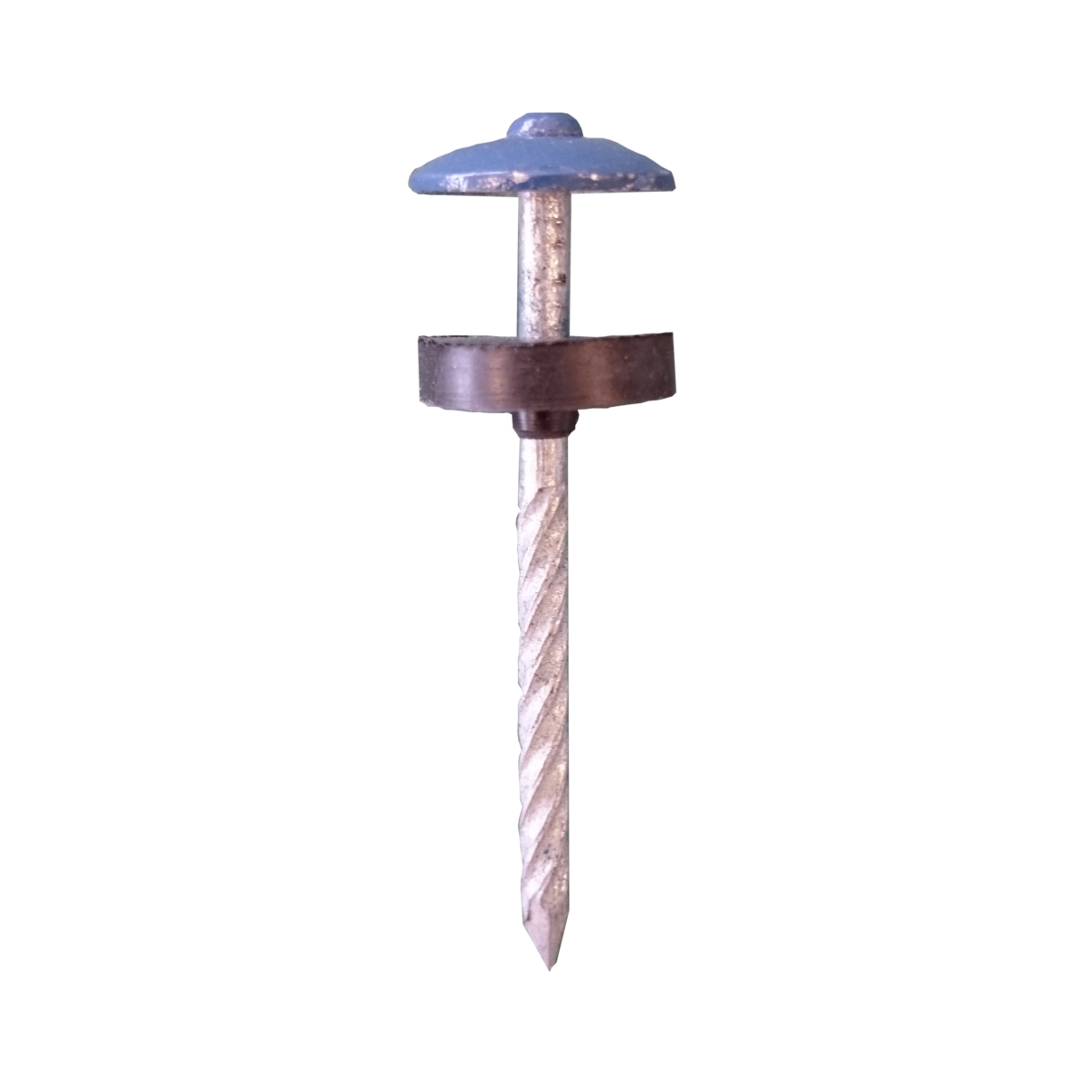 Dachnagel