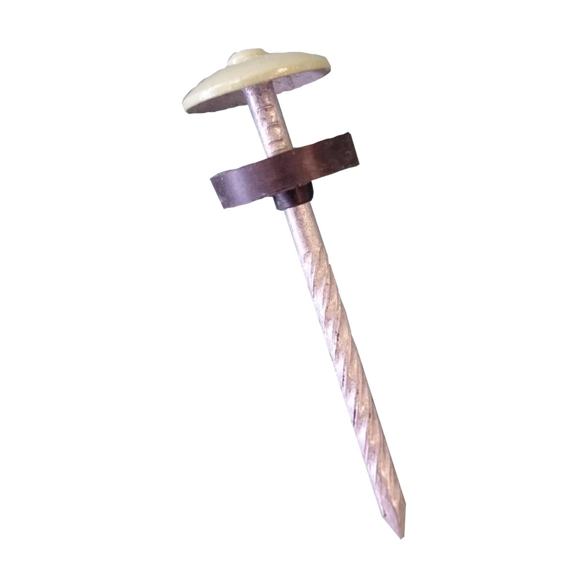 Dachnagel