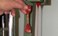 Betoncoat Elasticmembran (GSV*)