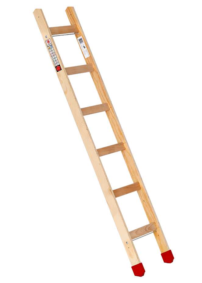 Sprossenanlegeleiter