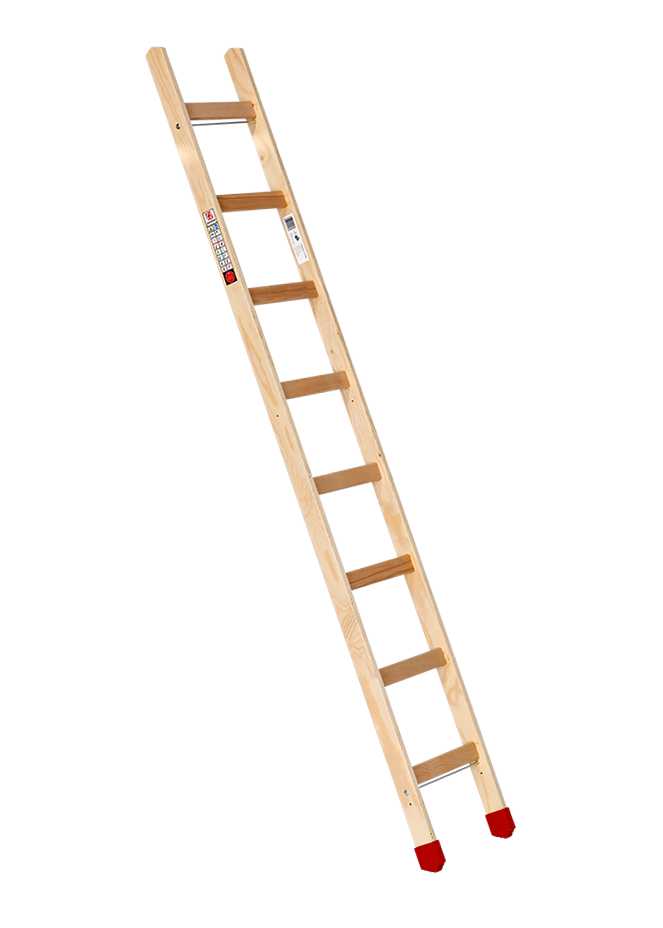 Sprossenanlegeleiter