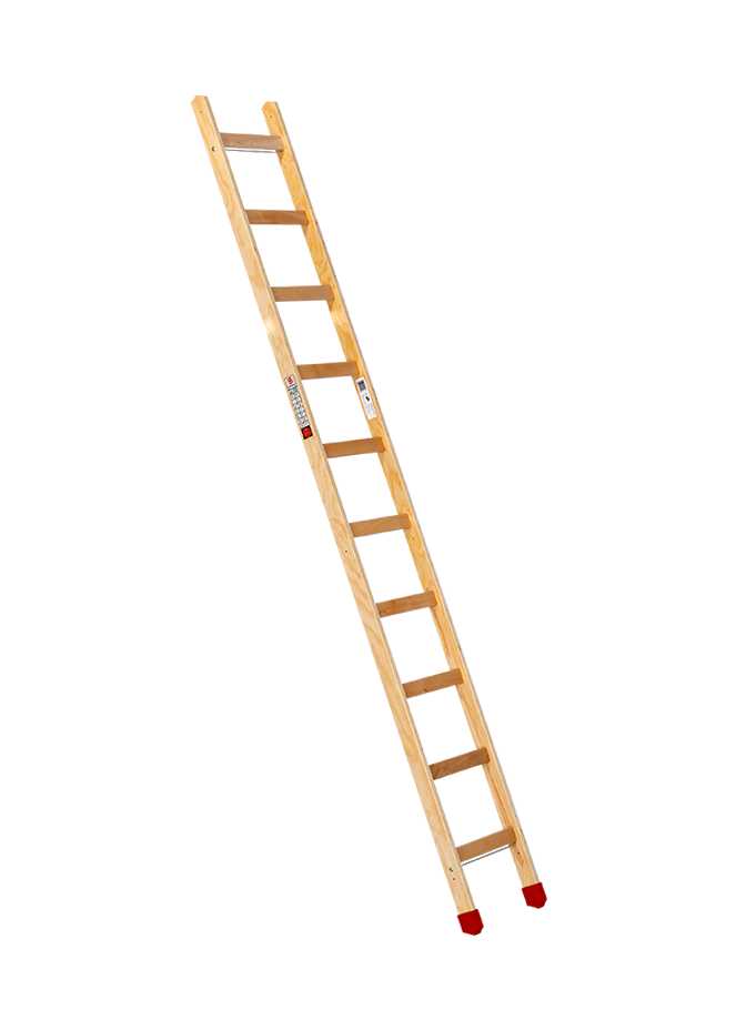 Sprossenanlegeleiter