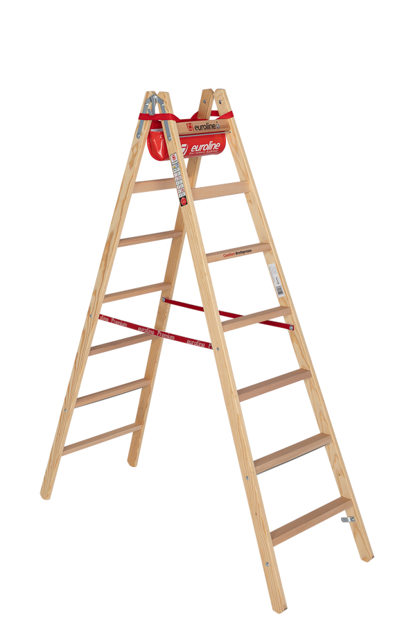 Sprossenstehleiter