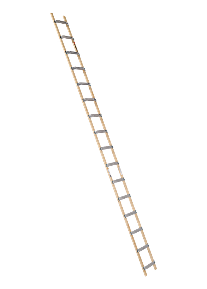 Dachauflegeleiter