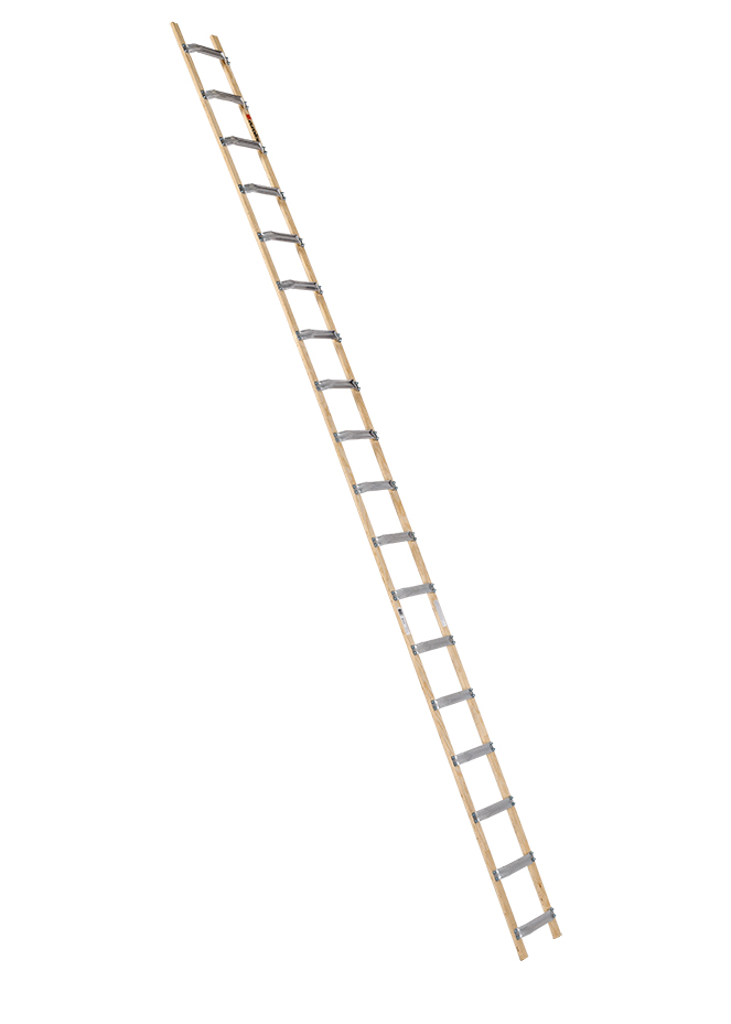 Dachauflegeleiter