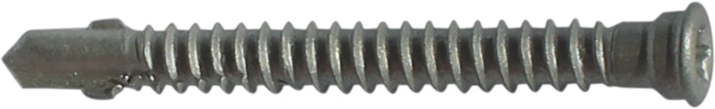 Bohrschraube T25