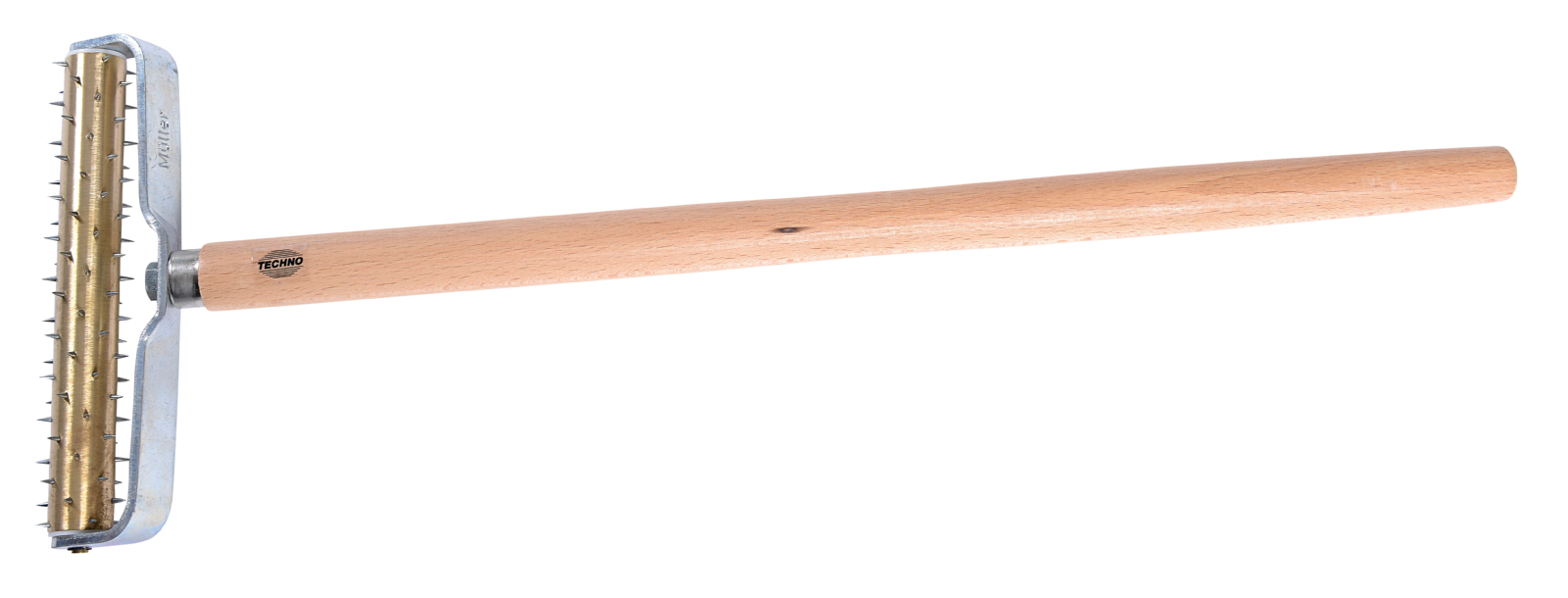 Stachelwalze
