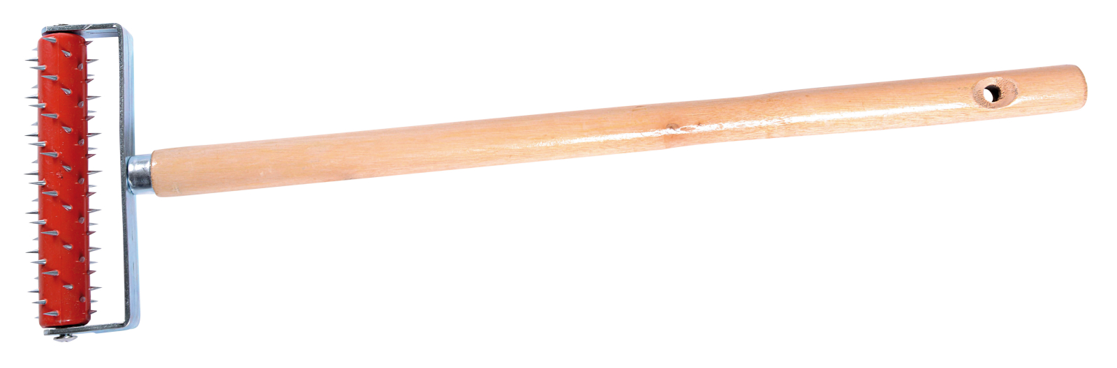 Stachelwalze