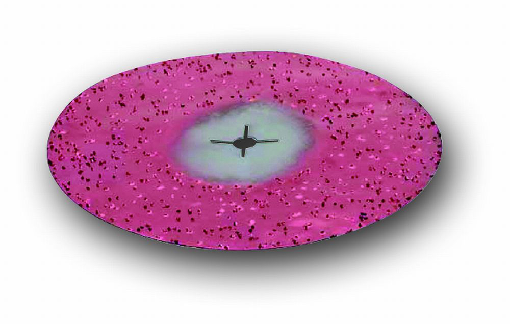 Widia-Splitt Schleifscheibe