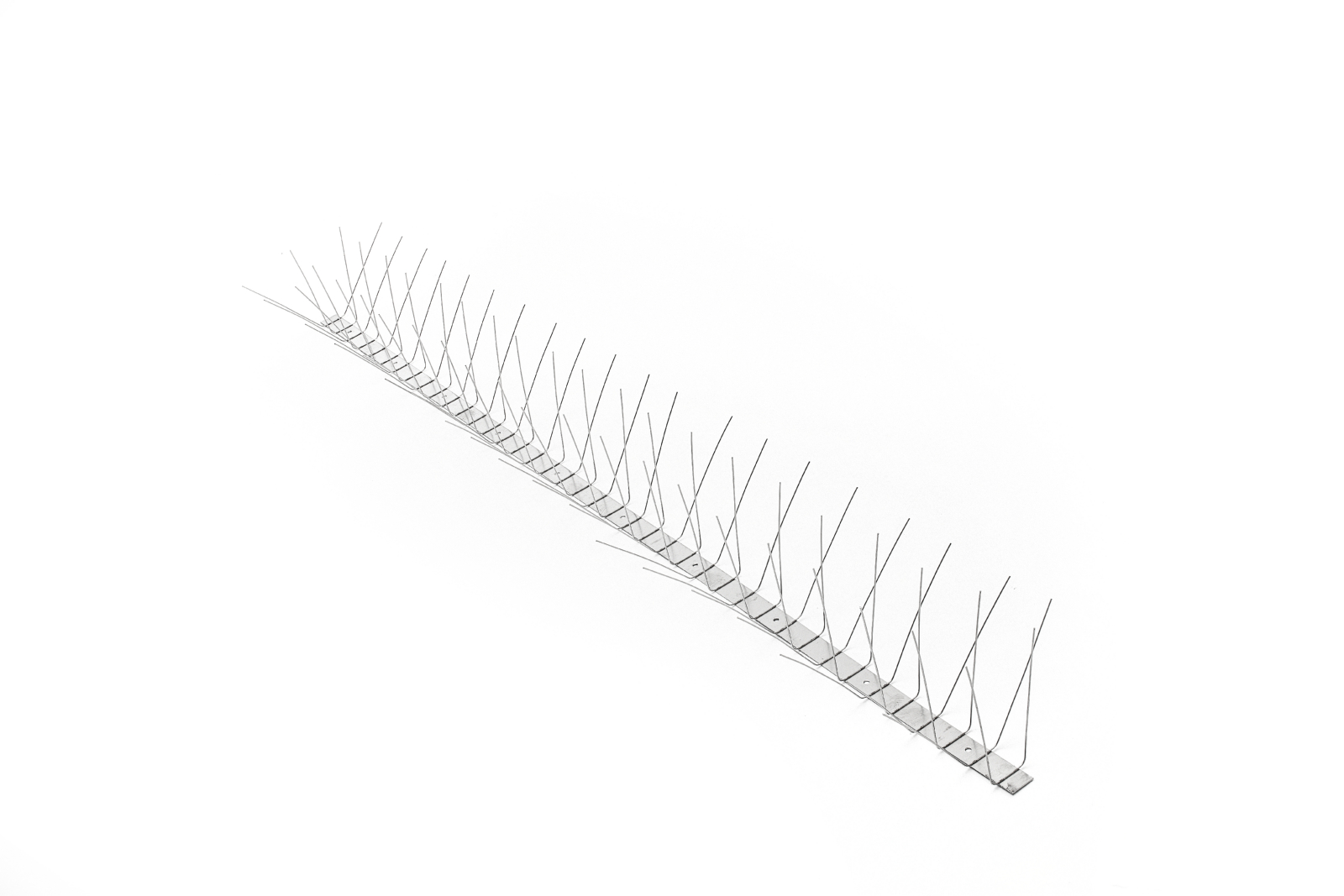 Taubenspikes