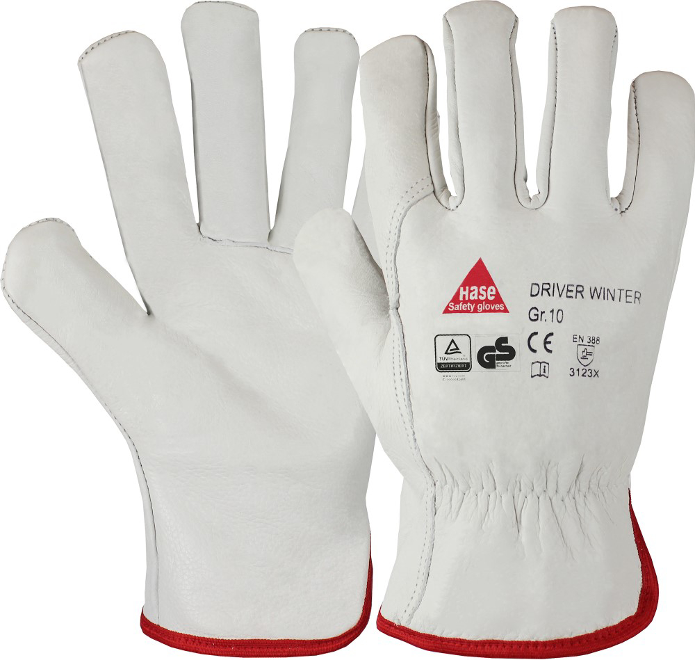 Winterhandschuh
