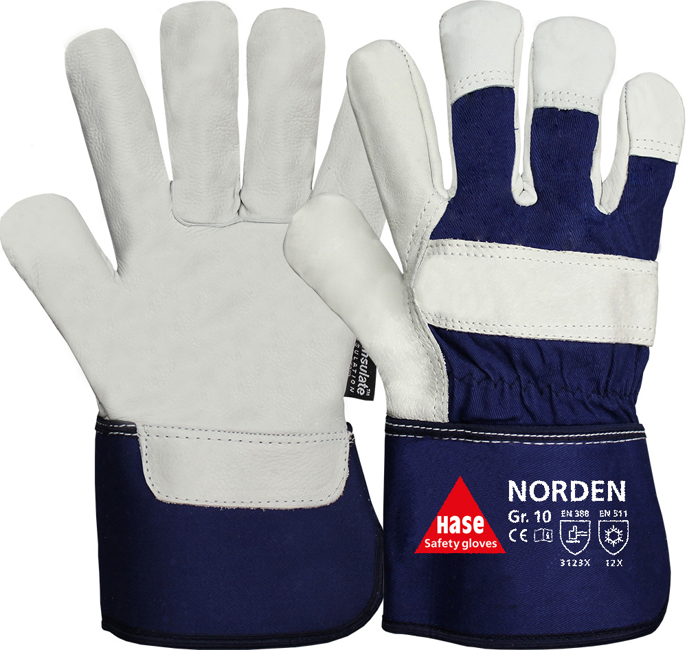 Winterhandschuh