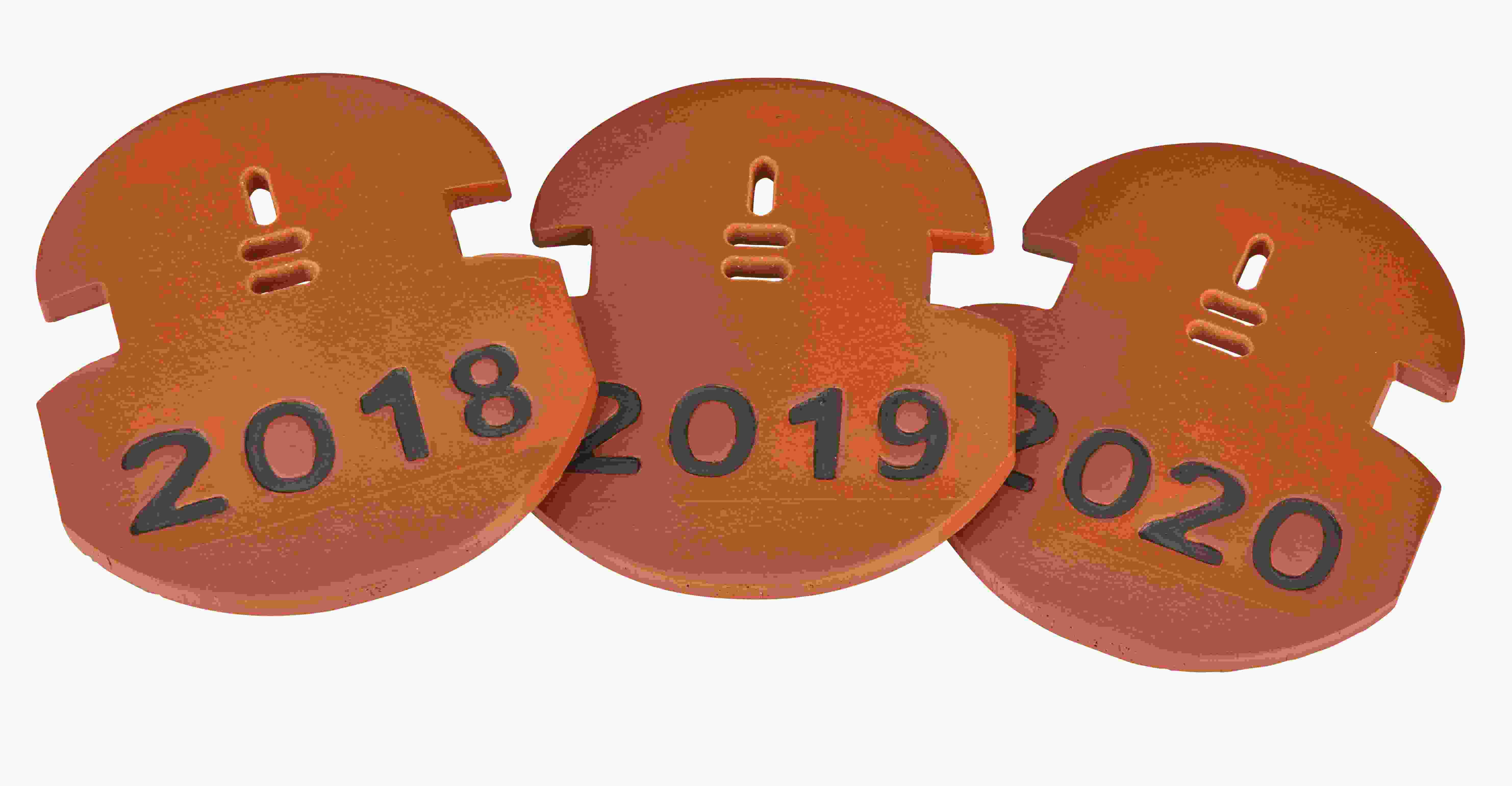 Firstanf.-/Endscheibe