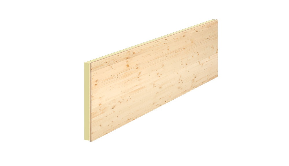 LITEC Sanierungsleiste