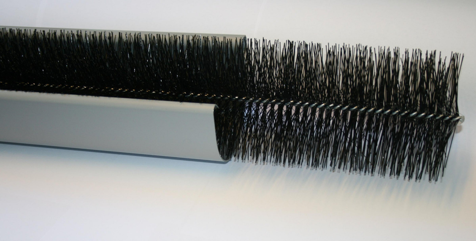 Rinnenraupe