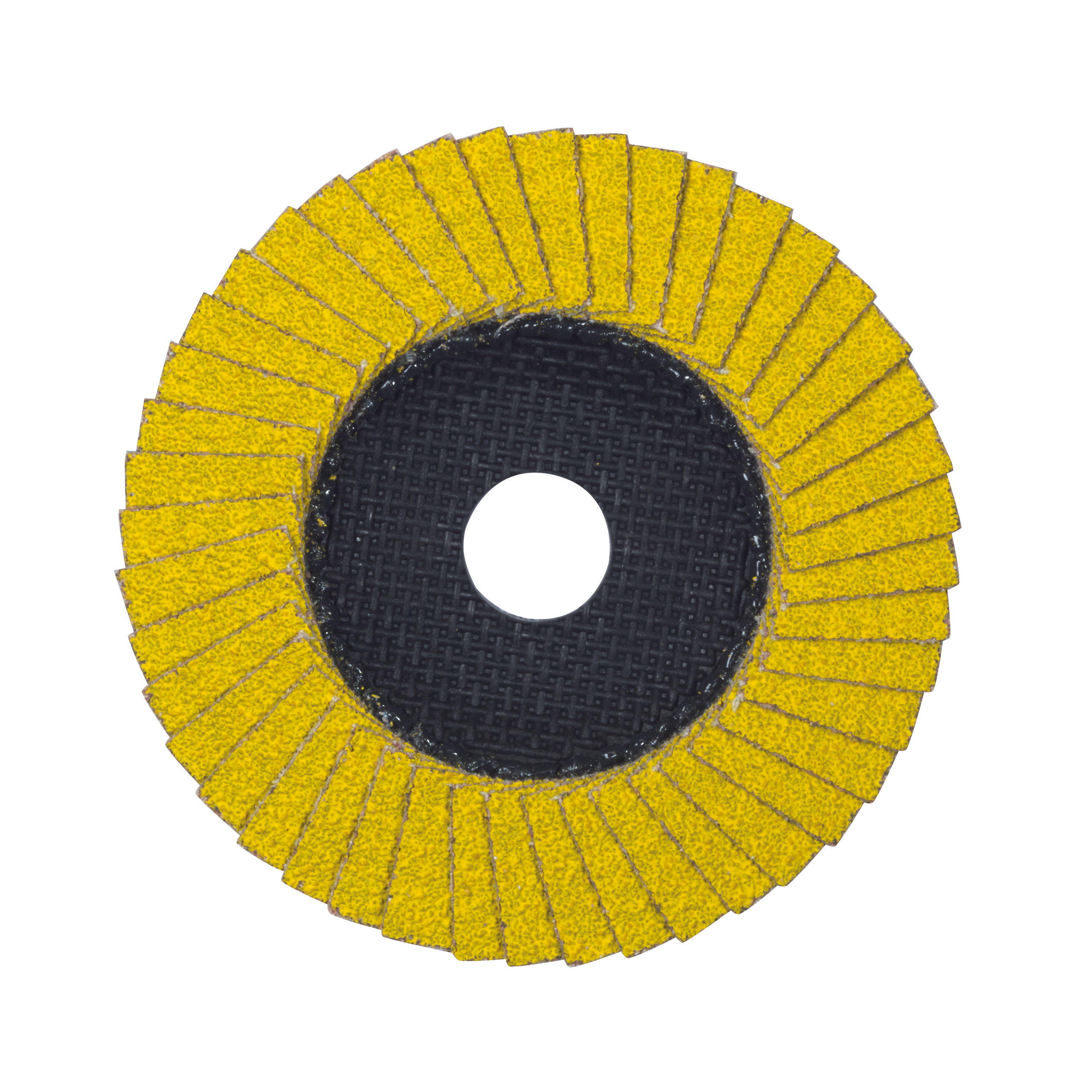 Fächerschleifscheibe