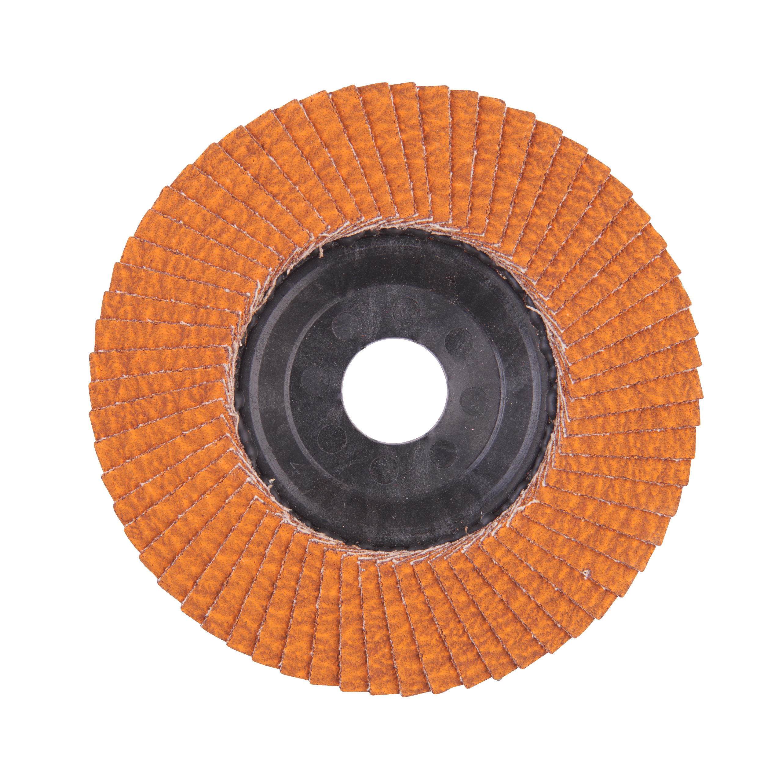 Fächerschleifscheibe