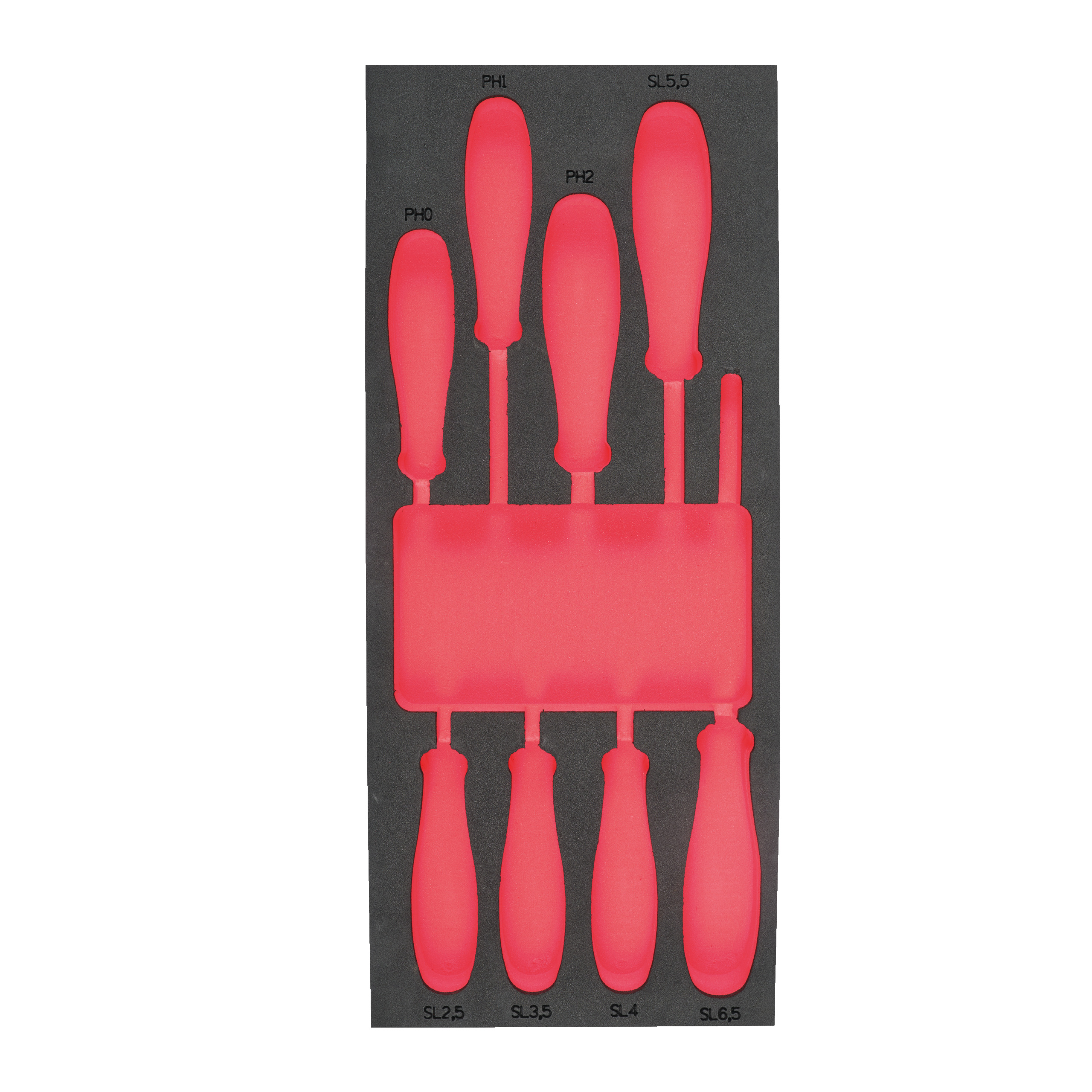 Werkstattwagen-Einlage 1/3
