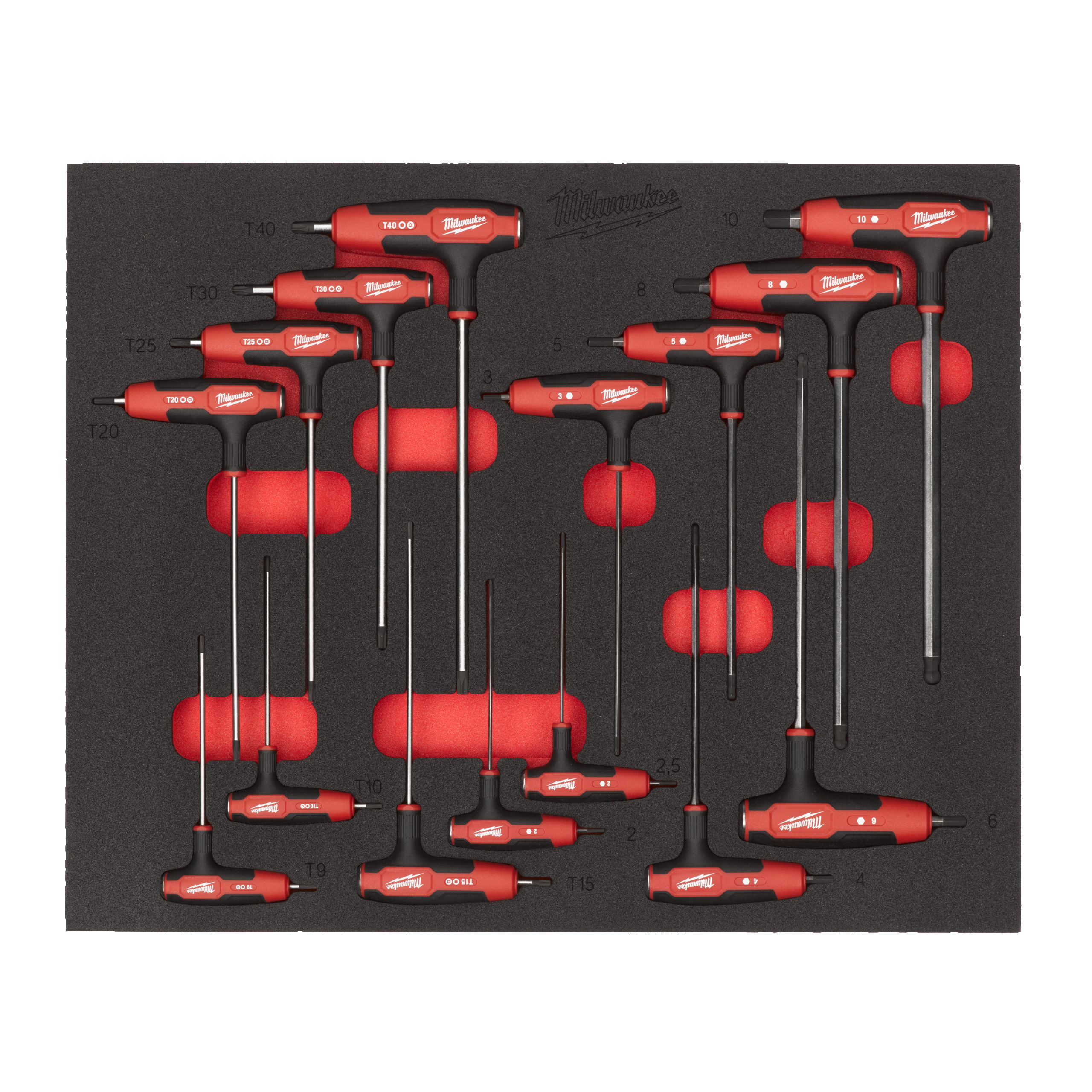 Werkstattwagen-Einlage