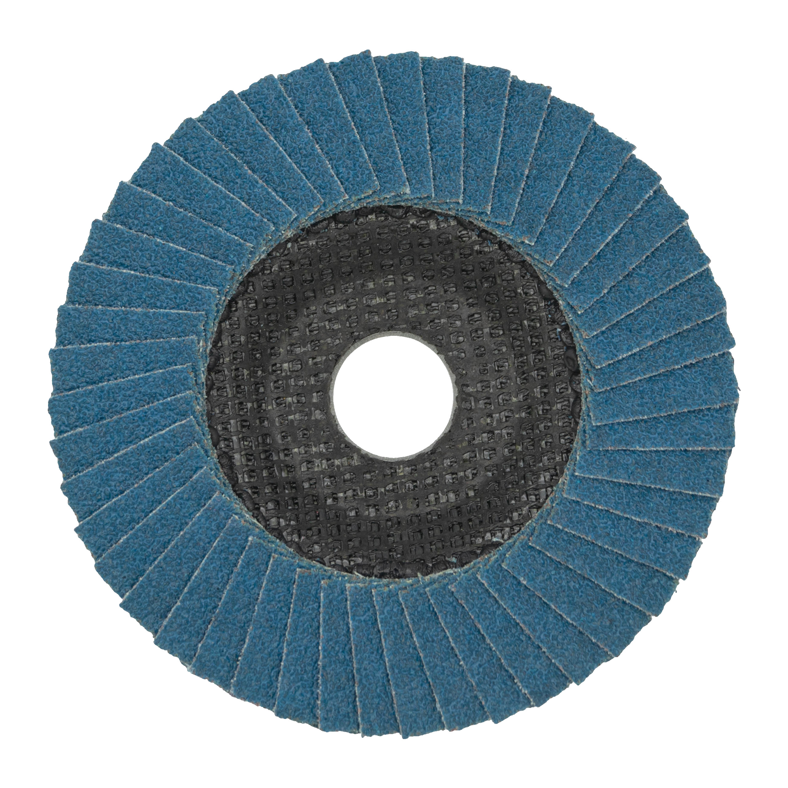 Fächerschleifscheibe