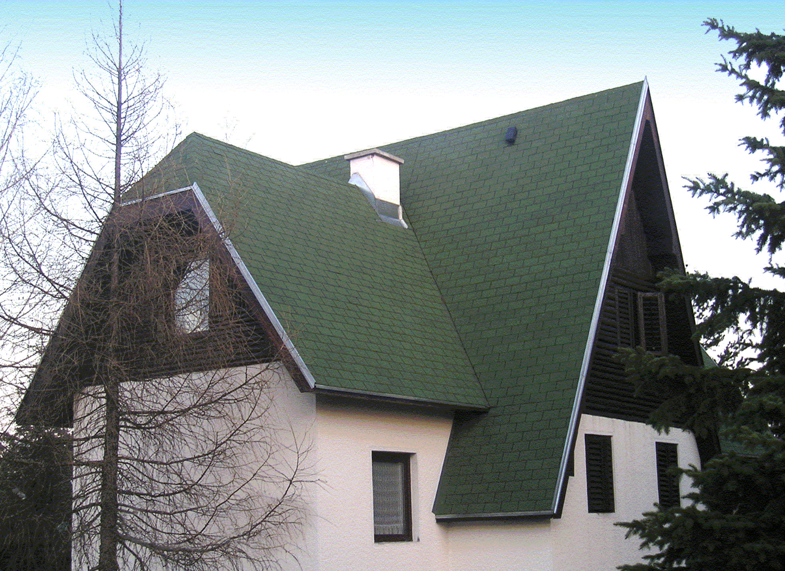 Bitumenschindel