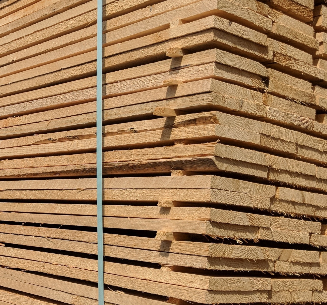 Schalung roh, trocken