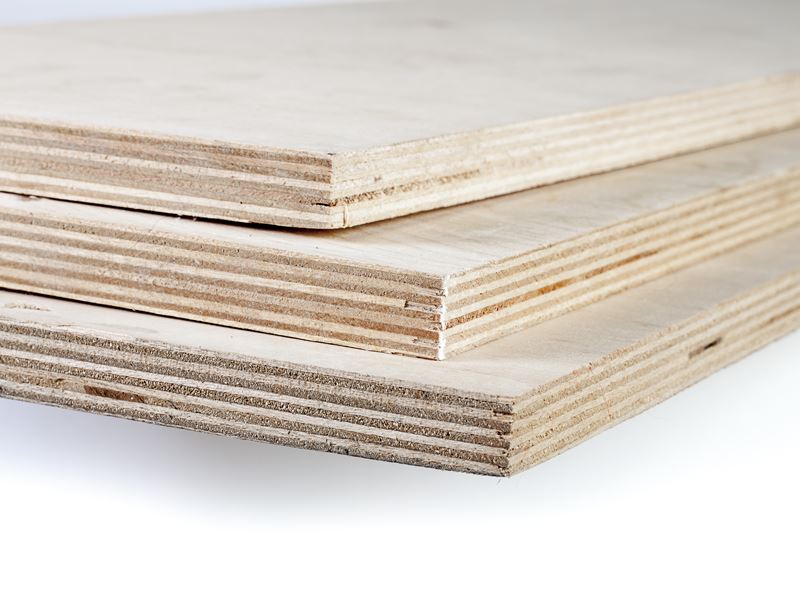 Elliotis Pine Betonsperrholz