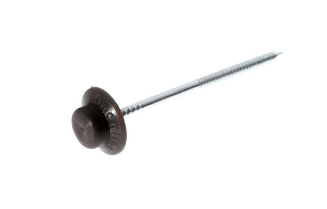 Nägel