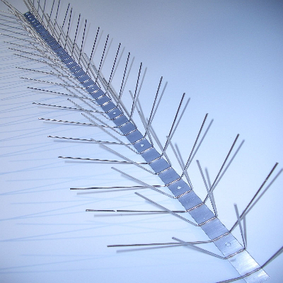 Taubenspikes