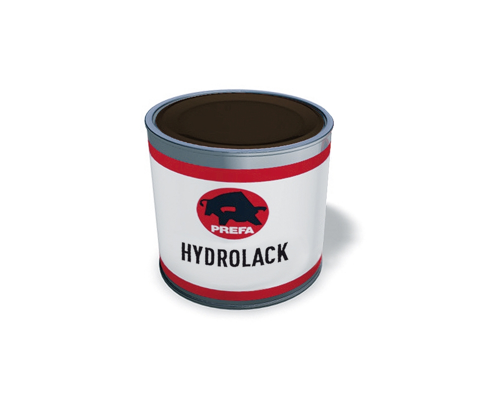 Ausbesserungslack (GSV*)