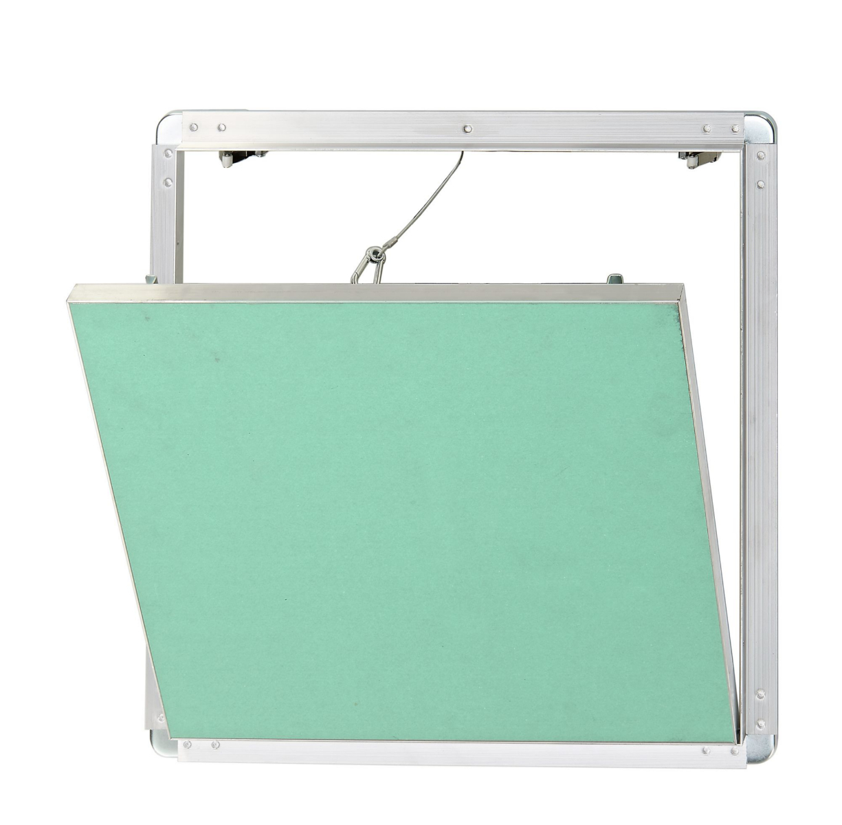 Revisionsklappe