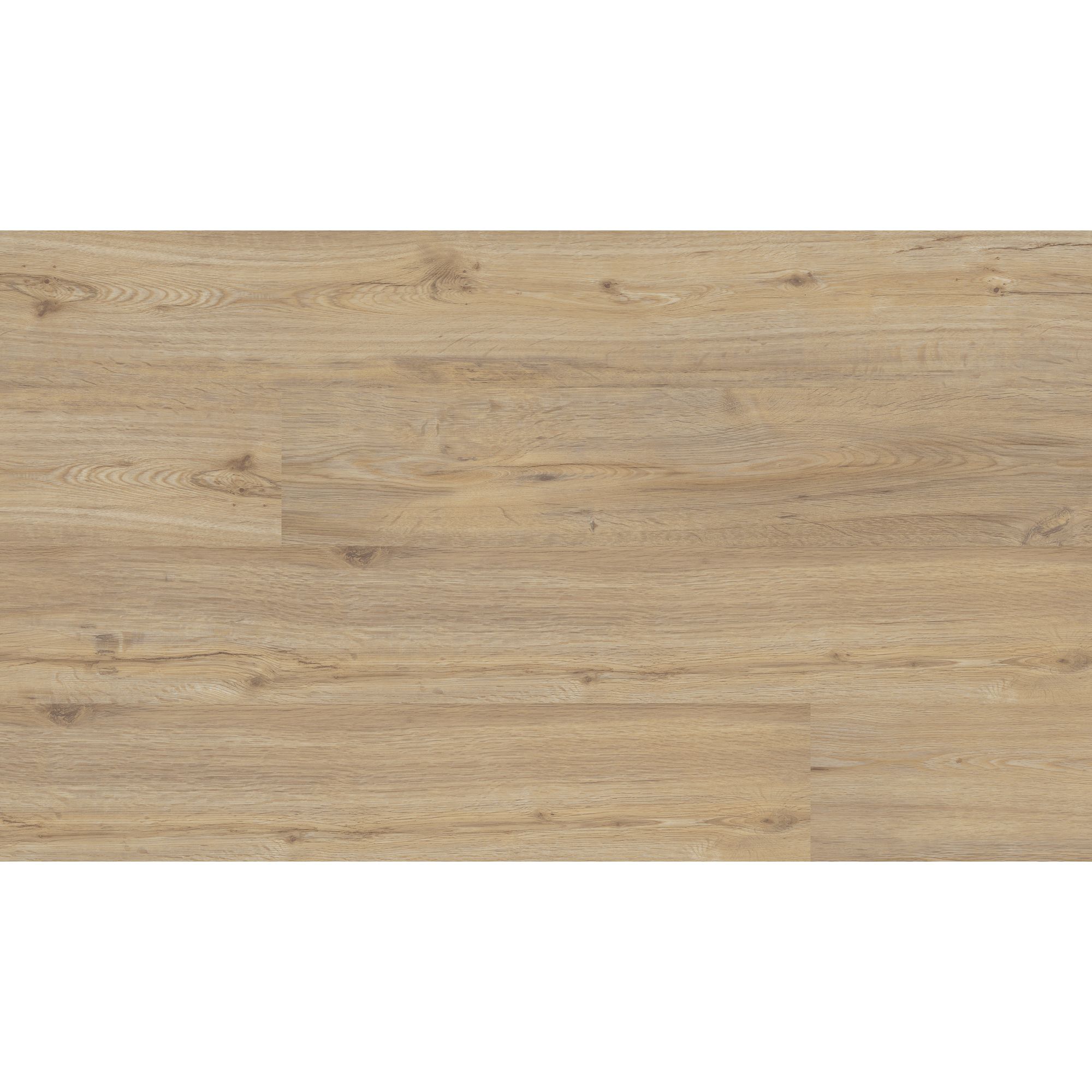 Vinyl Basic CST